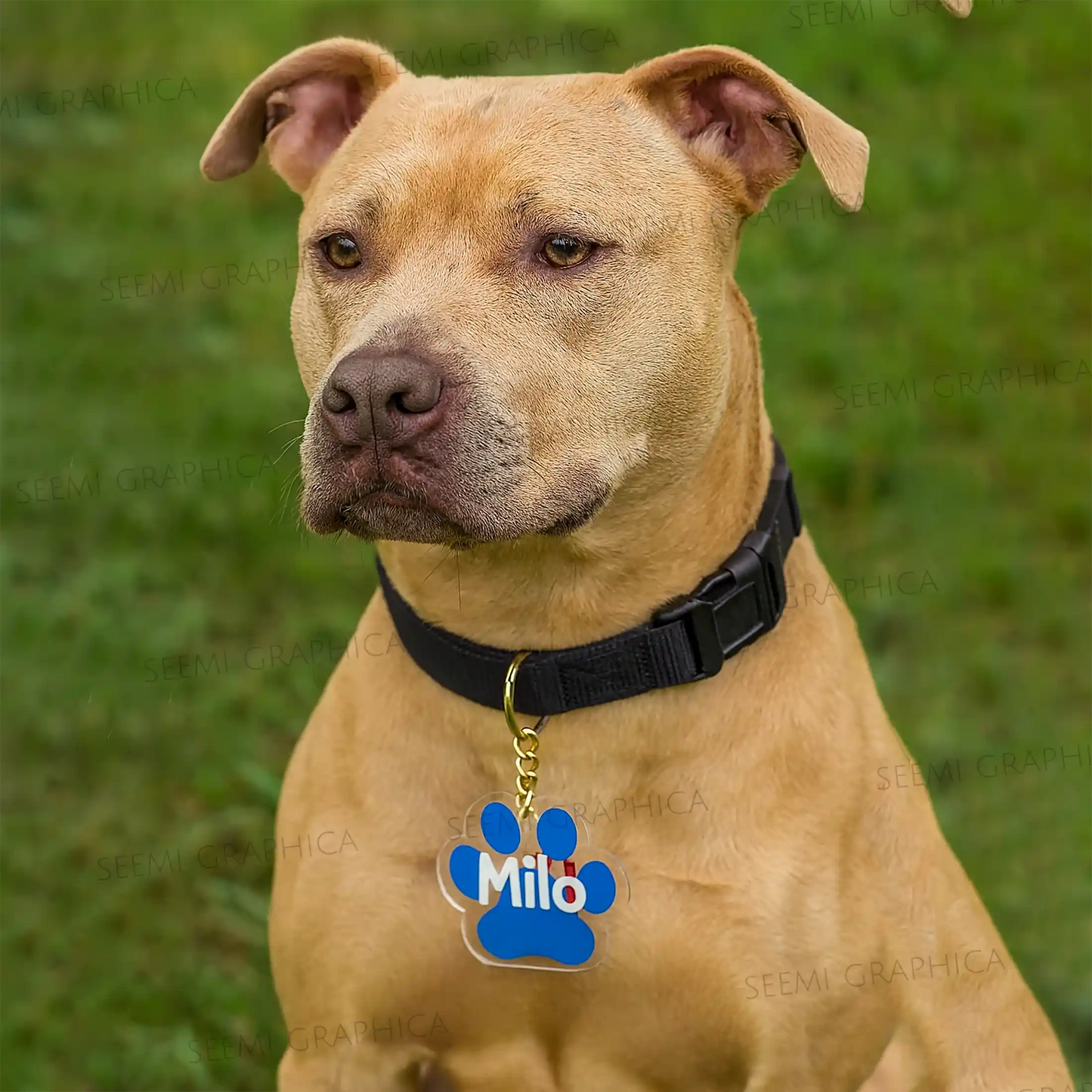 Pet Paw Name Tag ID